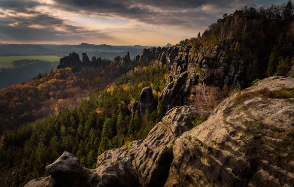 Лес, горы, камни, скалы, Эльбские Песчаниковые горы