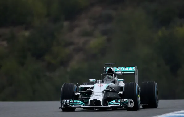 Mercedes, Formula 1, AMG, Nico, Rosberg, W05, V6 1.6l Turbo