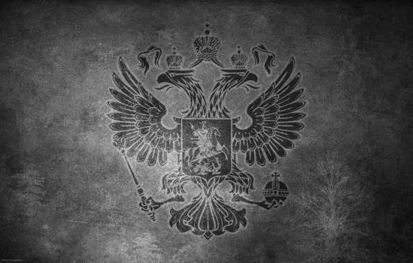 Поверхность, стена, ч/б, герб, россия, двуглавый орёл