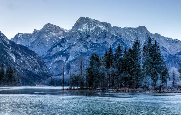 Картинка лес, деревья, горы, озеро, синева, скалы, Австрия, Almsee
