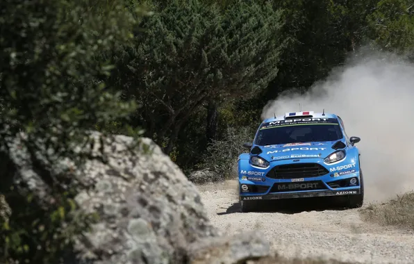 Картинка Ford, Форд, WRC, Fiesta, Передок