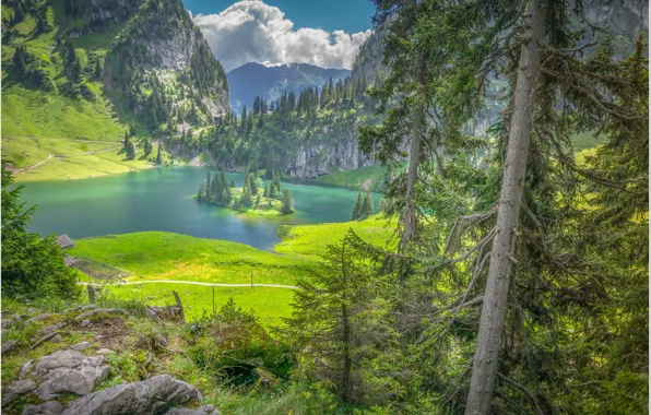 Картинка озеро, остров, Швейцария, Хинтерштоккен