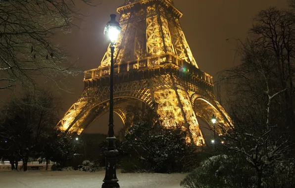 Картинка деревья, ночь, city, город, lights, огни, Франция, Париж
