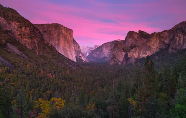 Картинка лес, небо, горы, Калифорния, зарево, США, Yosemite National Park