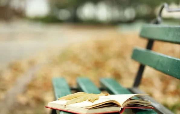 Abstract, autumn, book, leaf