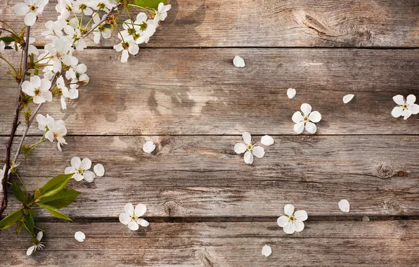 Цветы, Весна, Flowers, Spring, Деревянный Фон, Wooden Background
