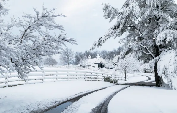 Картинка зима, дорога, снег, дом, забор