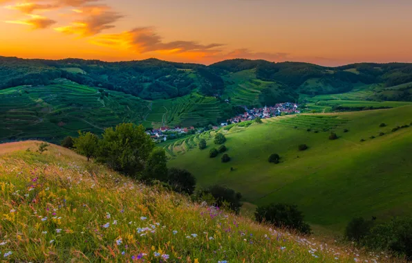 Зелень, лето, трава, облака, деревья, закат, цветы, горы