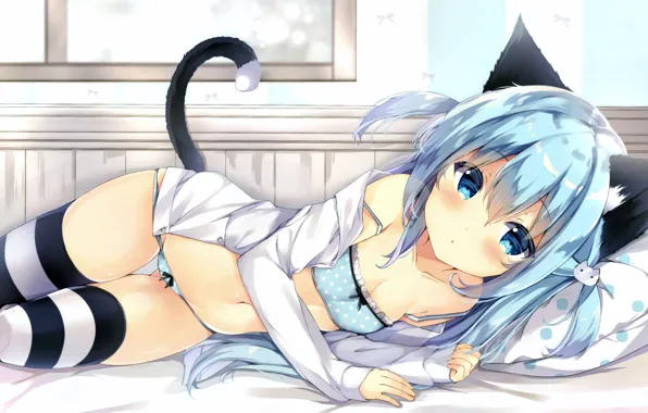 Girl, sexy, lingerie, pantsu, bra, cleavage, panties, thighhighs