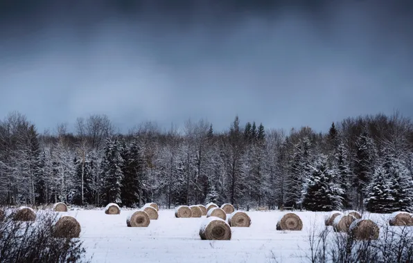 Winter, snow, countryside, farm, cloudy, hay, bales, woodland