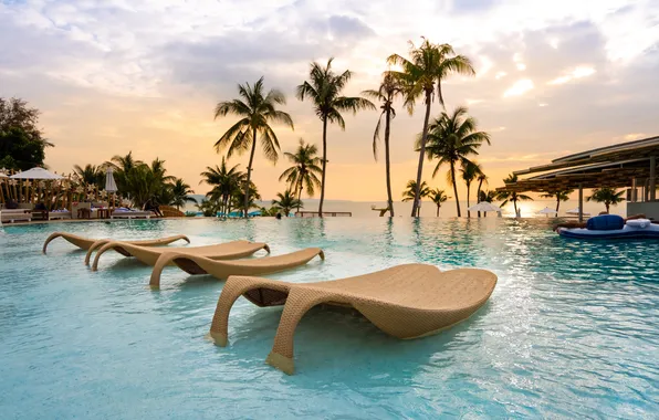 Pool, nature, paradise, luxury, lounge, resort, palm, outdoor
