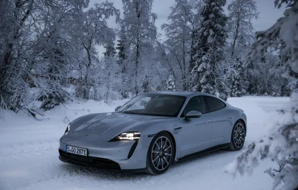Зима, дорога, снег, деревья, серый, Porsche, 2020, Taycan
