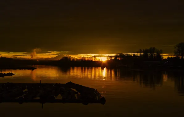 Картинка деревья, река, рассвет