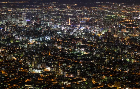 Ночь, город, вид, Япония, хоккайдо