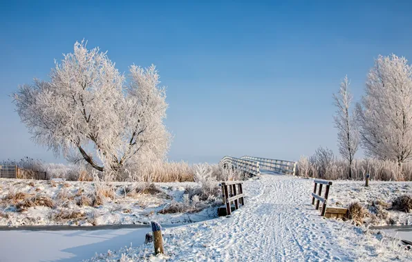Картинка зима, снег, пейзаж, мост