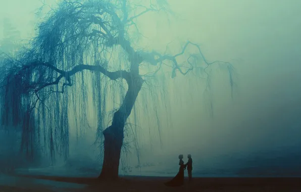 Картинка море, туман, сумерки, Пара.дерево