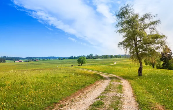 Дорога, зелень, поле, лес, лето, небо, трава, облака
