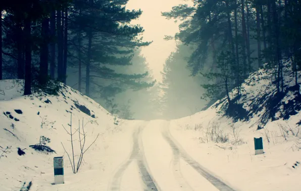 Картинка зима, дорога, лес, снег, деревья, ветки, природа, туман