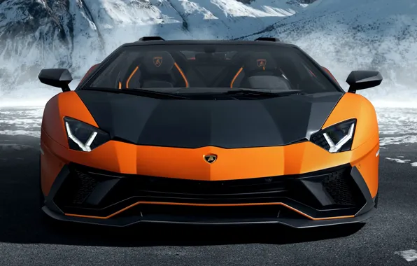 Roadster, Lamborghini, by Novitec, 2023, Lamborghini Aventador LP 780-4 Ultimae, Ultimae, Aventador LP 780-4