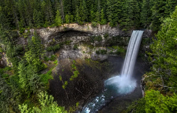 Картинка лес, деревья, скала, водопад, поток, Канада, Canada, Brandywine Falls