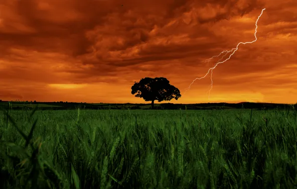 Картинка Clouds, Sky, Grass, Landscape, Lightning, Color, Field, Garden