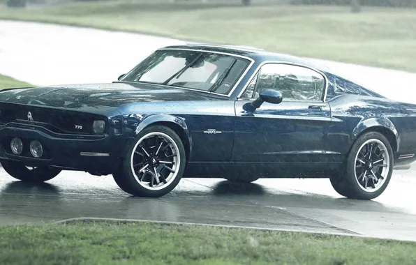 Equus Bass 770, 640 h.p., от 0 до 100 km, Mustang с мотором Corvette, 3.4s, …