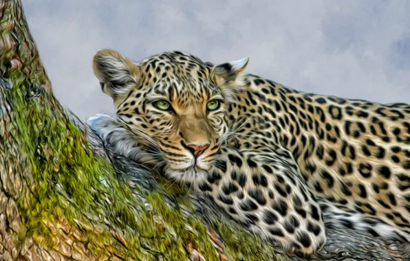 Картинка дерево, отдых, фотошоп, леопард, дикая кошка