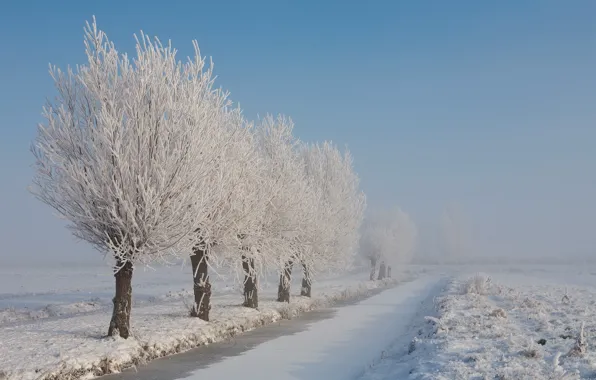 Картинка зима, иней, снег, деревья, пейзаж, природа