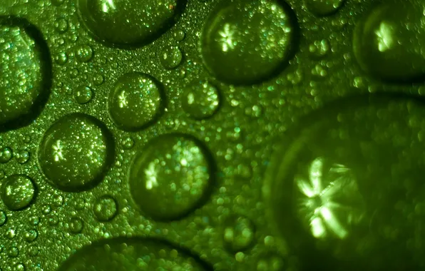Green, обои, water, drops