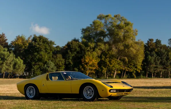 Картинка Lamborghini, Miura