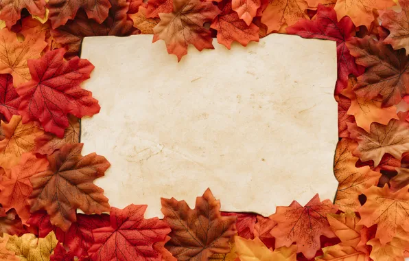 Картинка осень, листья, фон, colorful, background, autumn, leaves, осенние
