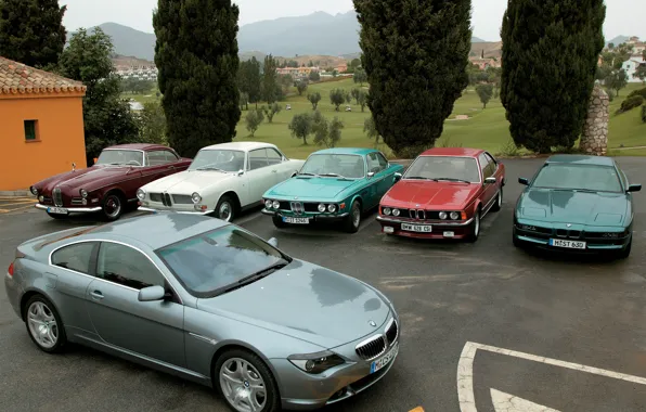 BMW, автомобили, много
