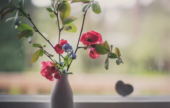 Цветы, лепестки, ваза