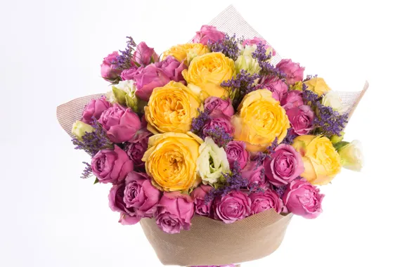 Розы, букет, Roses, colored, Bouquets