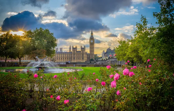 Картинка цветы, парк, Англия, Лондон, розы, Биг-Бен, фонтан, кусты