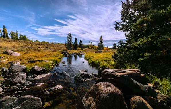 Картинка ручей, камни, ели