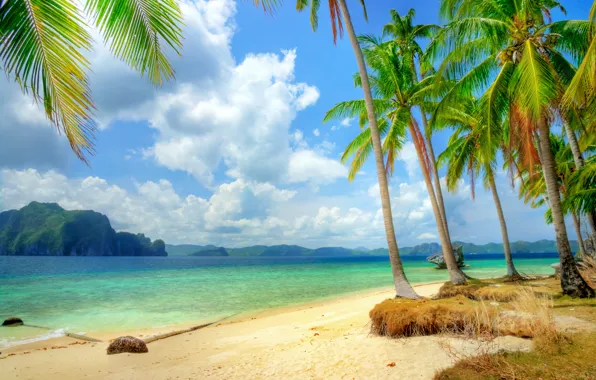 Картинка песок, море, пляж, солнце, тропики, океан, берег, остров
