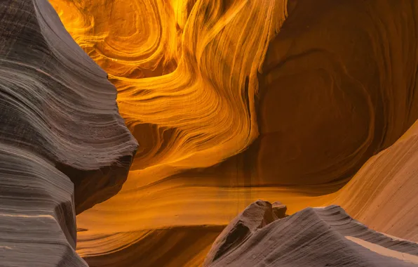 Картинка каньон, Аризона, США, Arizona, Антилопы