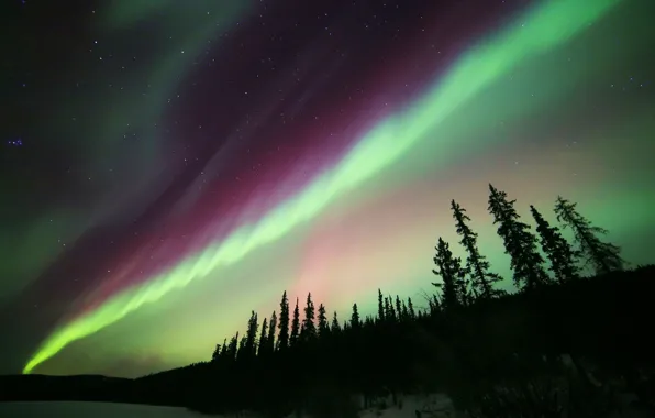 Картинка звезды, ночь, природа, северное сияние, Aurora Borealis
