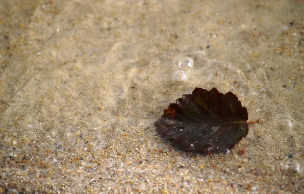 Картинка песок, вода, прозрачность, природа, лист, река, macro