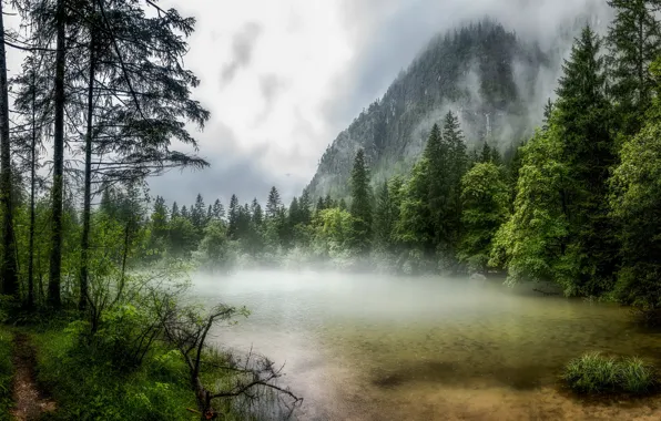 Картинка лес, горы, туман, река