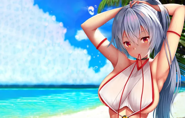 Girl, sexy, cleavage, beach, long hair, sea, boobs, anime