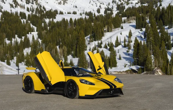 Ford, двери, суперкар, Ford GT, 2017