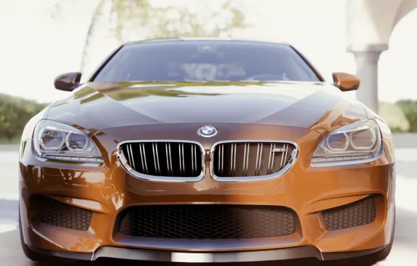 Bmw, Forza, M Series, Forza Horizon 5, Bmw M6