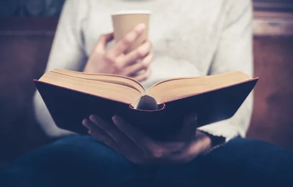 Книга, Страницы, Листы