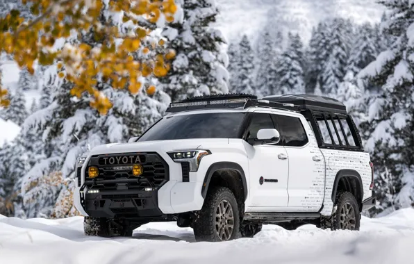 Concept, Toyota, Snow, White, SEMA, 2022, SEMA 2022, Toyota Trailhunter Concept