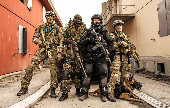 Картинка оружие, собака, Norwegian Special Forces