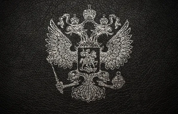 Картинка серый, кожа, герб, россия