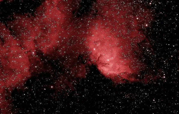Картинка космос, туманность, эмиссионная, Tulip Nebula