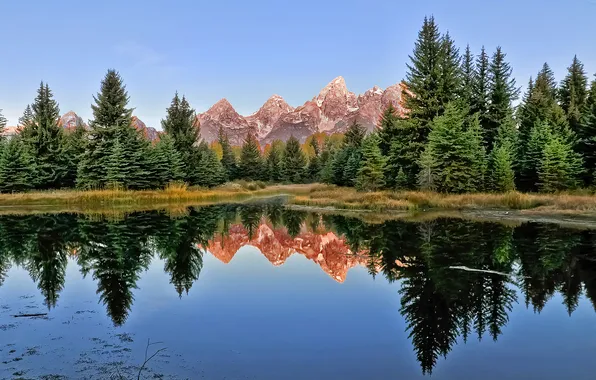 Картинка лес, горы, озеро, отражение, ели